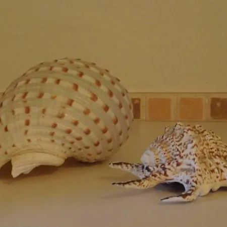 Weekend Vacanze E Mare * Bordighera