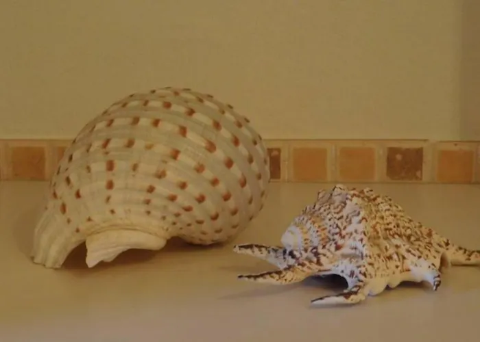 Weekend Vacanze E Mare * Bordighera